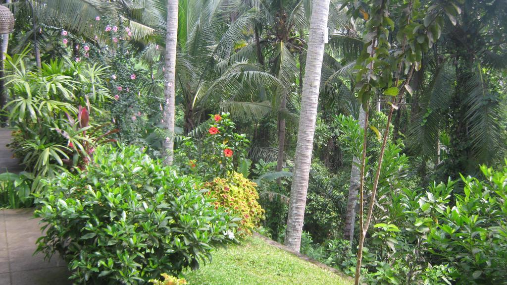 Mahanadewi Villa Ubud Pokój zdjęcie